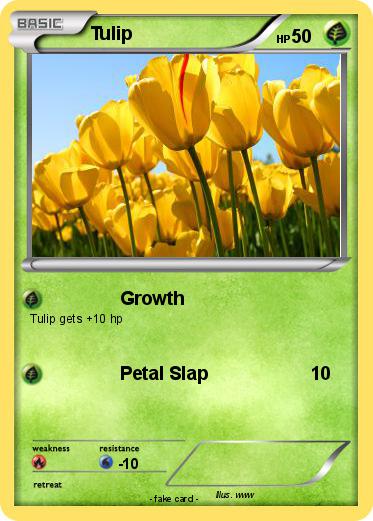 Pokemon Tulip