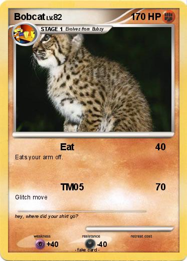 Pokemon Bobcat