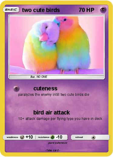 Pokemon two cute birds