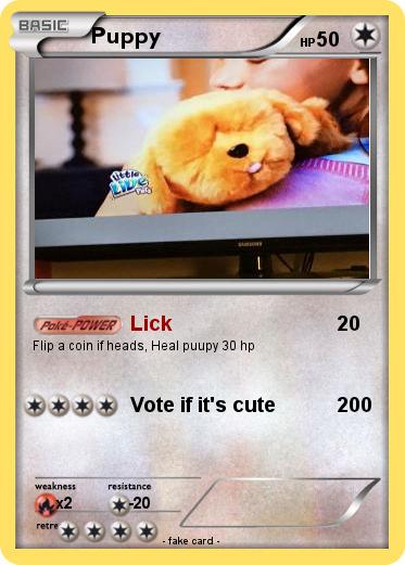 Pokemon Puppy