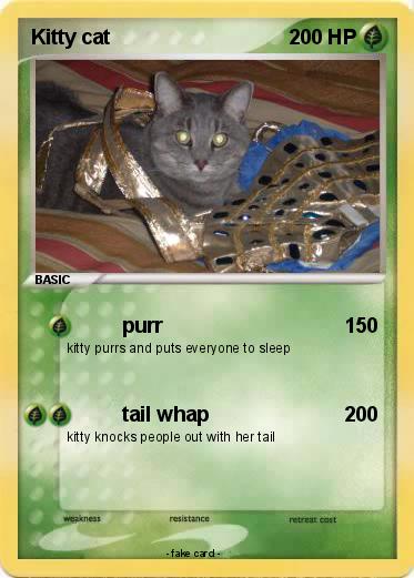 Pokemon Kitty cat