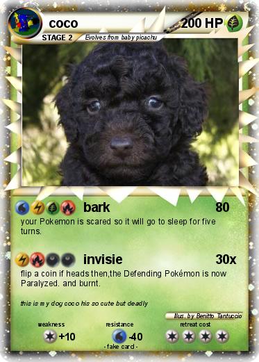 Pokemon coco