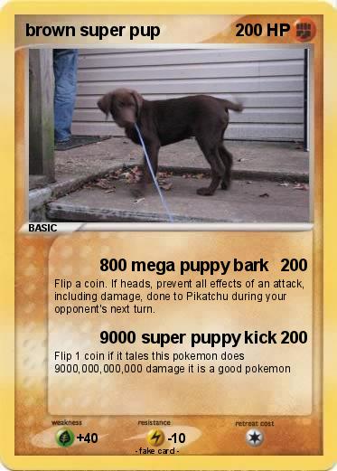 Pokemon brown super pup