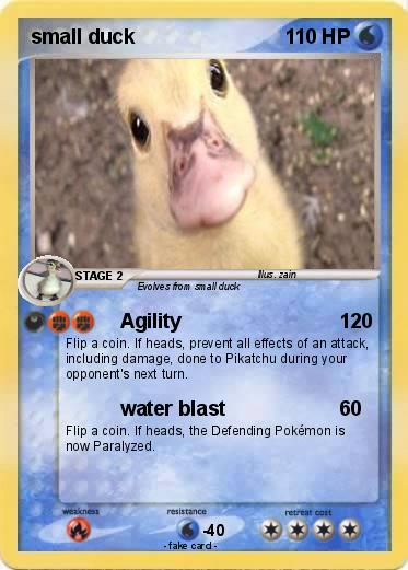 Pokemon small duck