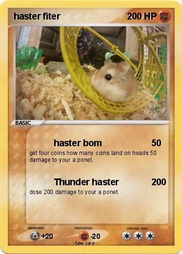 Pokemon haster fiter