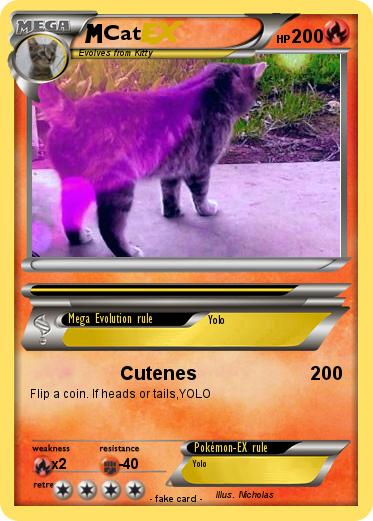 Pokemon Cat