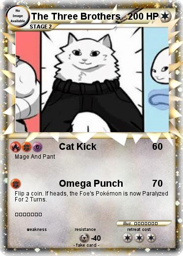 Pokemon The Three Brothers