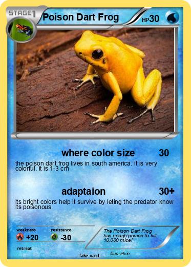 Pokemon Poison Dart Frog