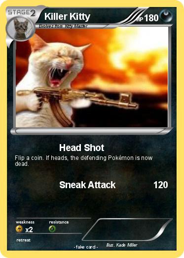 Pokemon Killer Kitty