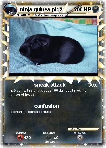 Pokemon ninja guinea pig2