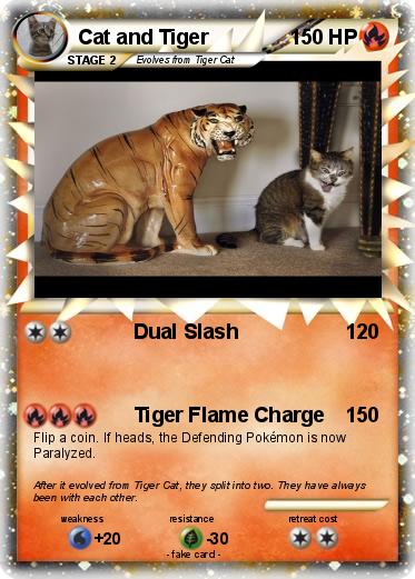 Pokemon Cat and Tiger