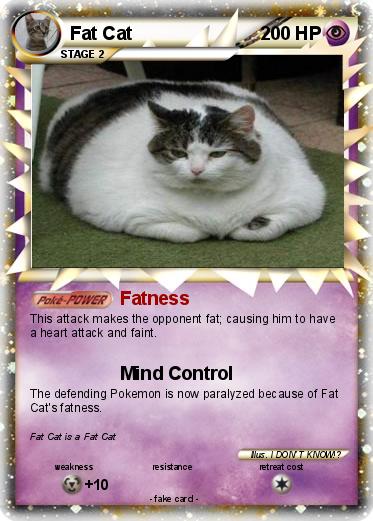Pokemon Fat Cat