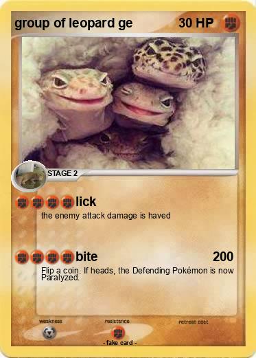 Pokemon group of leopard ge
