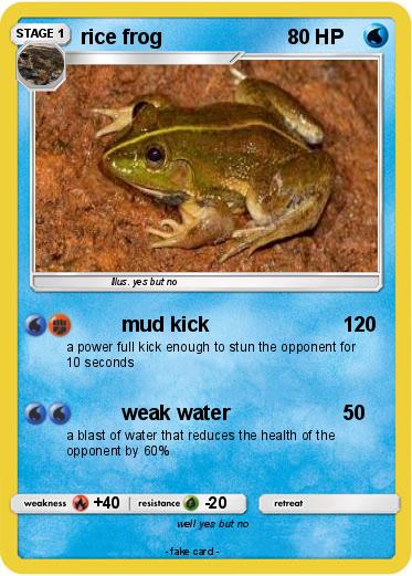 Pokemon rice frog
