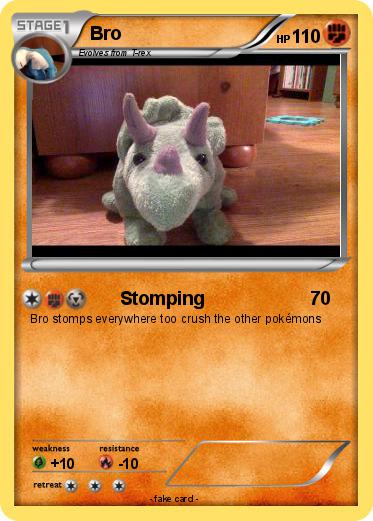 Pokemon Bro