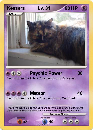 Pokemon Kessers          Lv. 31