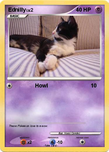 Pokemon Ednilly