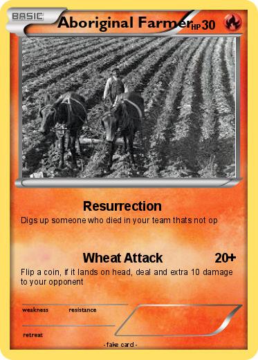 Pokemon Aboriginal Farmer