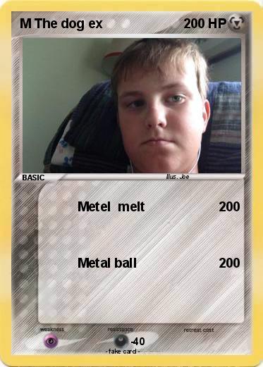 Pokemon M The dog ex