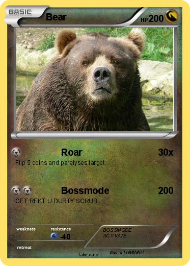 Pokemon Bear
