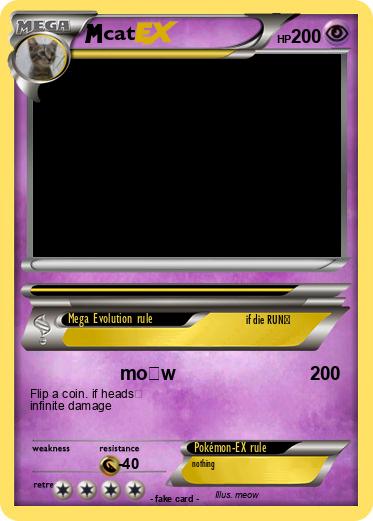 Pokemon cat