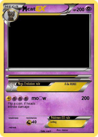 Pokemon cat