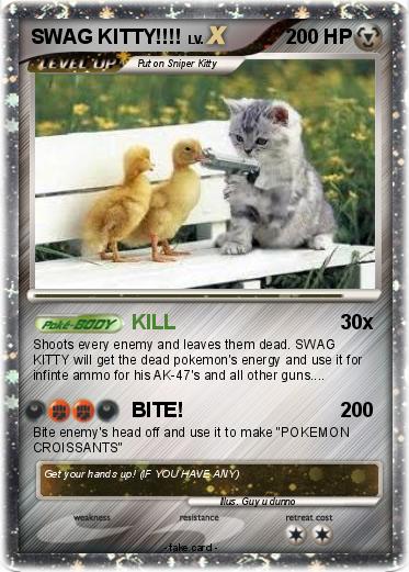Pokemon SWAG KITTY!!!!