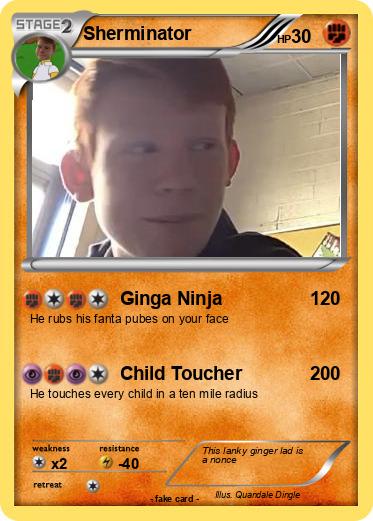 Pokemon Sherminator