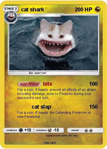 Pokemon cat shark