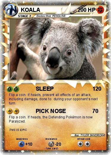 Pokemon KOALA