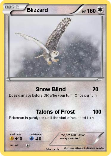 Pokemon Blizzard