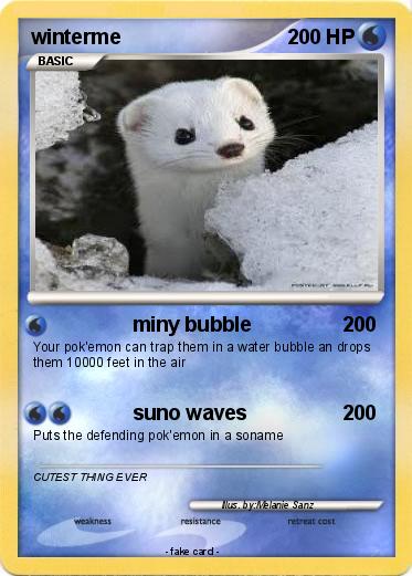 Pokemon winterme