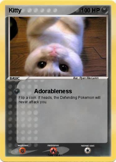 Pokemon Kitty