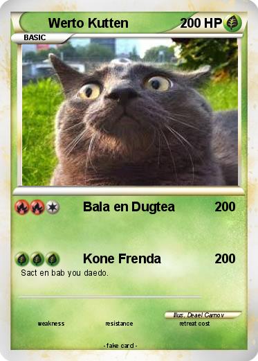 Pokemon Werto Kutten