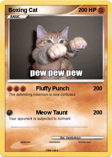 Pokemon Boxing Cat