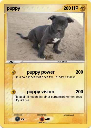 Pokemon puppy