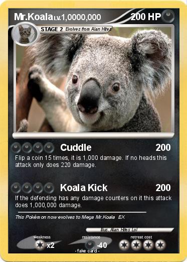 Pokemon Mr.Koala