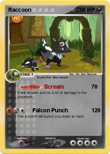 Pokemon Raccoon