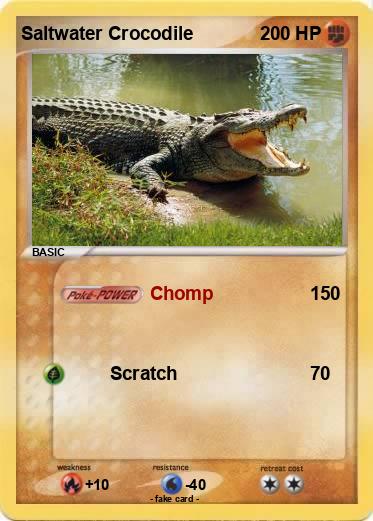 Pokemon Saltwater Crocodile