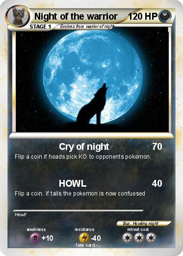 Pokemon Night of the warrior