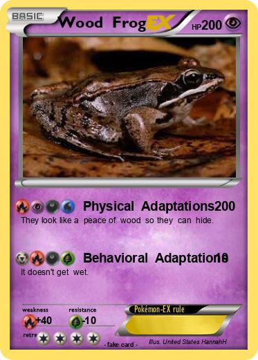 Pokemon Wood  Frog