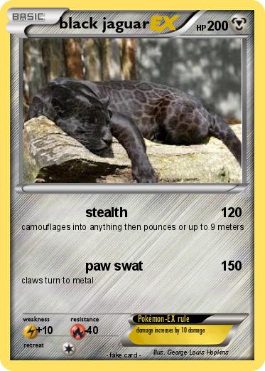 Pokemon black jaguar