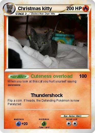 Pokemon Christmas kitty