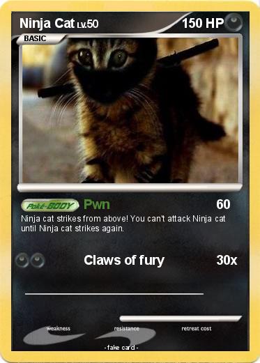 Pokemon Ninja Cat