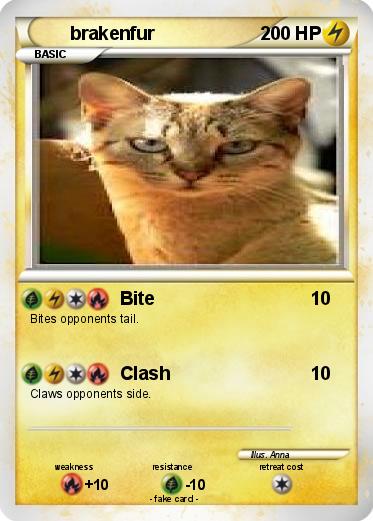 Pokemon brakenfur