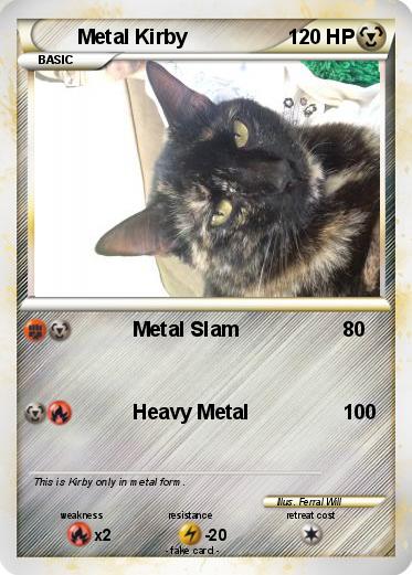Pokemon Metal Kirby