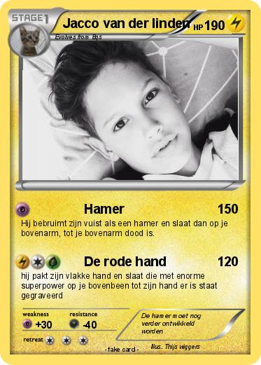 Pokemon Jacco van der linden