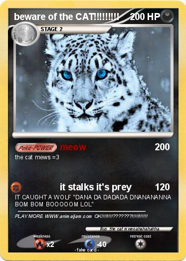 Pokemon beware of the CAT!!!!!!!!!