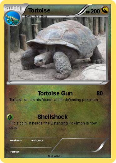 Pokemon Tortoise
