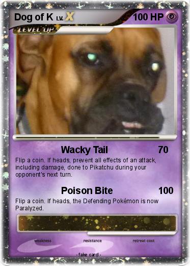 Pokemon Dog of K